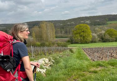 Excursión sport Montmort-Lucy - Dag 4 Lucy - Abbaye Notre Dame du Reclus - Photo