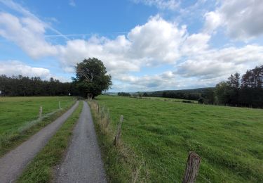 Tocht Stappen Houffalize - rando engreux 14-09-2024 - Photo