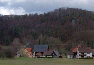 Randonnée A pied Pottenstein - Rundweg Pottenstein-Waldacher Forst - Photo