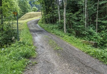 Trail On foot Fischingen - Ottenegg - Holenstein - Photo