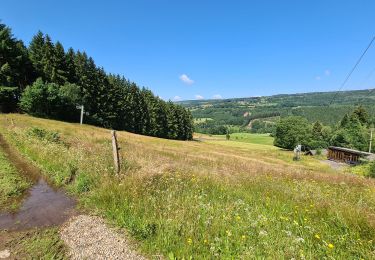 Trail Walking Stoumont - A la découverte de la piste de ski du Mont des Brumes - Photo