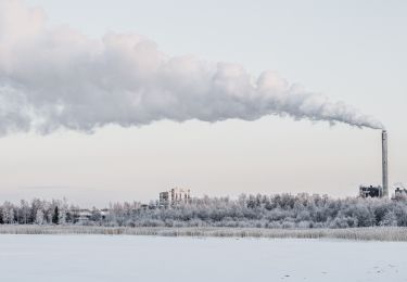 Tour Zu Fuß Oulu - Hietasaarenkierros - Photo