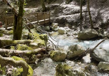 Trail Walking Saint-Vincent-de-Mercuze - Cascade de l'Alloix Montalieu (38) - Photo