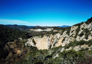 Excursión Senderismo Cabasse - les crêtes de Cabasse - Photo