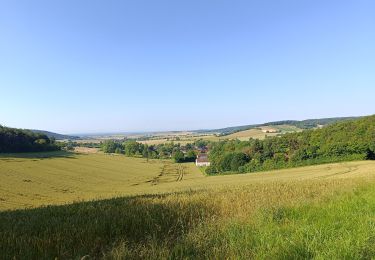 Trail Walking Sommeval - Sommeval Forêts Chemins - Photo