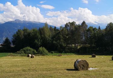 Tour Wandern Ayent - l'étang long - Photo