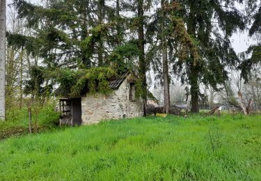 Excursión Senderismo Wanze - Promenade de la pierre (WZ05) - Moha - Photo