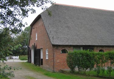 Percorso A piedi Kapelle - NL-Hoge Pad - Photo