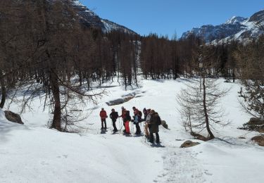 Randonnée Raquettes à neige Entraunes - la boucharde - Photo