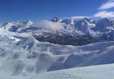 Trail Touring skiing Le Grand-Bornand - GB 8 fev - Photo