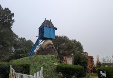 Trail Walking Bourgueil - Bourgueil le Picard - GRP Coteaux de Bourgueil - 24.3km 325m 5h25 (45mn) - 2024 10 30 - Photo