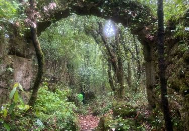 Tocht Stappen Rogues - Madières - Photo