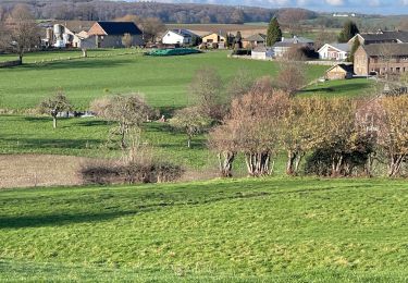 Tour Wandern Vuren - Teuven Dorp 14 Km - Photo