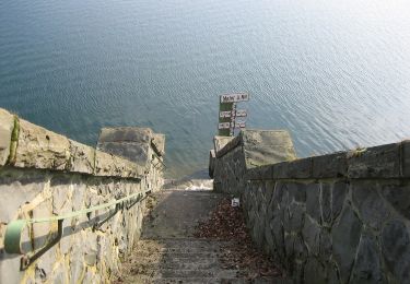 Tour Zu Fuß Lüdenscheid - Versetalsperre Rundweg A1 - Photo