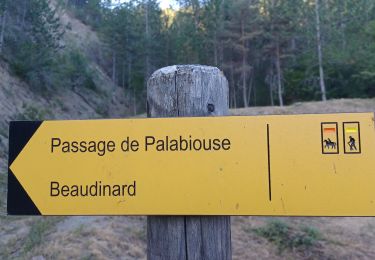 Randonnée Marche Clamensane - VALAVOIRE  Pas de Palabiouse , bergerie de Premarche o l s  - Photo