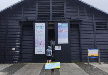 Randonnée Marche Les Portes-en-Ré - reco pour j 2 Fred - Photo