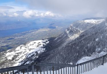 Tour Wandern Les Déserts - Croix du Nivolet - Photo