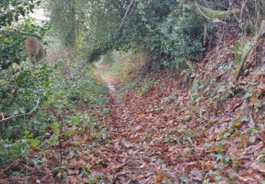 Trail Walking Lestrade-et-Thouels - randonnée l'estrade et thouesl  - Photo