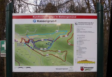 Trail On foot Biebergemünd - Biebergemünd - Rundwanderweg Bg 1 - Photo