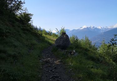 Trail Nordic walking Arbaz - Anzère par les Evouettes  - Photo