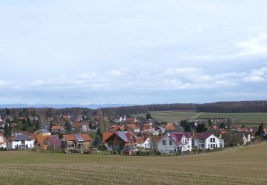 Tour Zu Fuß Waake - Bösinghauser Rundweg - Photo