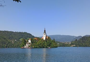 Percorso Marcia Radovljica - 15-08-23 camping Sobec, lac de Bled, Mala Osojnica et retour - Photo