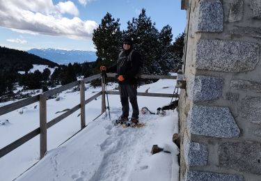 Tour Schneeschuhwandern Font-Romeu-Odeillo-Via - llobens 2021  - Photo