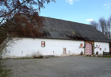 Percorso A piedi Horn-Bad Meinberg - Rundwanderweg [Leopoldstal / Heesten] - Photo