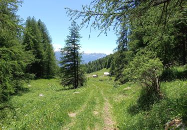 Tour Wandern Embrun - Lac de l'Hivernet 16.6.24 - Photo