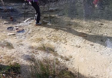 Excursión Senderismo Signes - Signes le Latay avec Keke - Photo