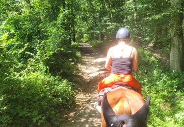 Trail Horseback riding Vigy - 2024-07-18_100557.gpx - Photo