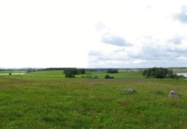 Trail On foot  - Gydarpslingan - Photo