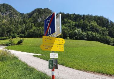 Tour Zu Fuß Gemeinde Bad Häring - Wanderweg 60 - Pölvenrundweg - Photo