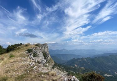 Excursión Senderismo Le Castellard-Mélan - Col de Fontbelle Crête de Géruen - Photo