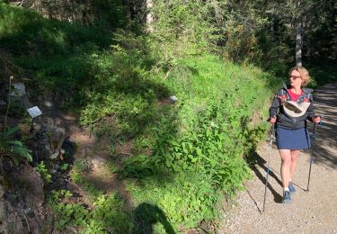 Trail Walking Courchevel - Courcheveles crete charbet, petit mont blanc - Photo
