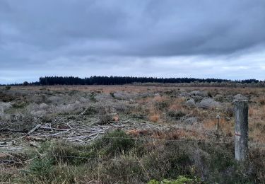 Tocht Stappen Theux - Bronrome-Croix-Ruy-la Gleize - Photo