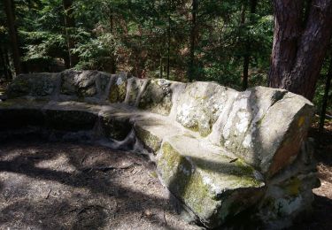 Excursión Senderismo Eguisheim - Boucle 3 châteaux / Espace Herzog / Sous le Hohlandsbourg  - Photo