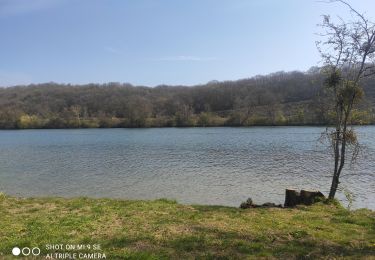 Trail Hybrid bike Dammarie-les-Lys - ballade velo - Photo