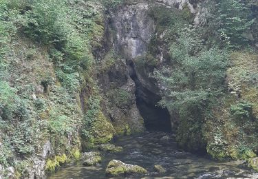 Excursión Senderismo Métabief - GTJ 3 Metabief Mouthe - Photo