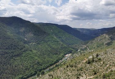 Randonnée Marche Gorges du Tarn Causses - Mas Andre/ Tonnas - Photo