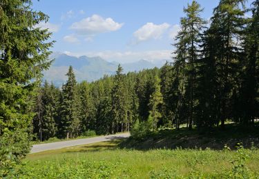 Percorso Marcia Peisey-Nancroix - Peisey Vallandry Arcs 1800 - Photo