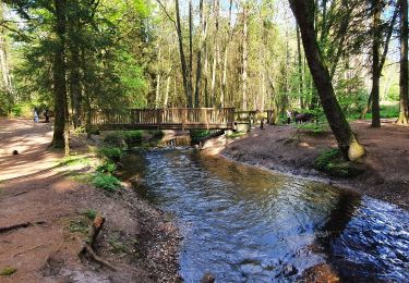 Percorso A piedi Drestedt - Wanderweg Drestedt - Hollenstedt - Photo