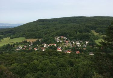 Trail On foot Meinhard - RW 5 Wolfstisch - Photo