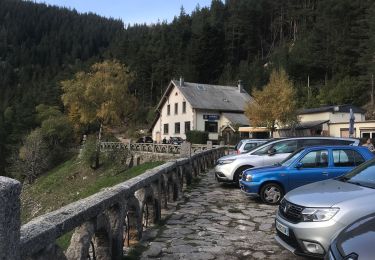 Tocht Stappen Orbey - Lac blanc lac noir musmiss  - Photo