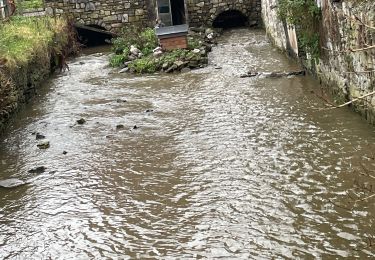 Tocht Stappen Olne - Les Vaux sous Olne - Photo