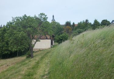 Randonnée A pied Großheringen - Rundweg Kaatschen-Tultewitz - Photo