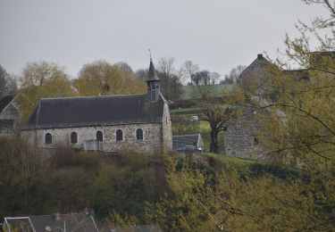 Randonnée Marche Olne - 20210412 - Saint Hadelin 5.6 Km - Photo