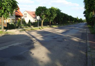 Percorso A piedi Kozienice - Kozienice - nordic walking - Photo