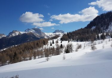 Excursión Esquí de fondo Méolans-Revel - Crête des Gliérettes - Photo