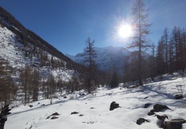 Randonnée Raquettes à neige Orcières - Prapic - Photo